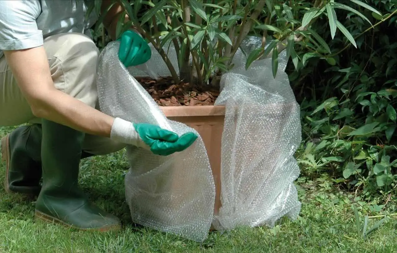 No uses cualquier tela para tu invernadero: descubre cuál es la mejor para proteger tus plantas