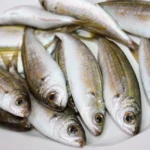 ¿Tu casa huele extrañamente a pescado? Podría ser una peligrosa advertencia eléctrica