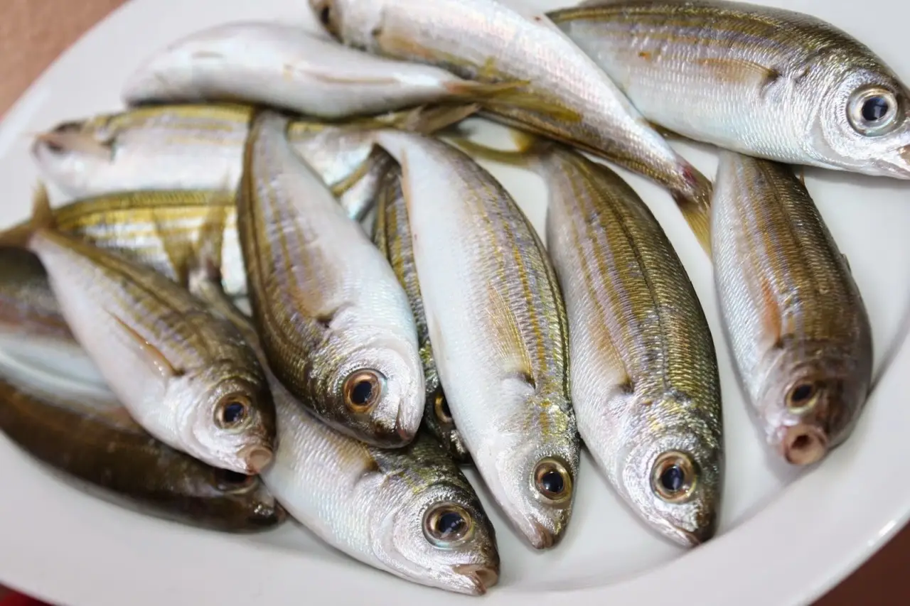 ¿Tu casa huele extrañamente a pescado? Podría ser una peligrosa advertencia eléctrica